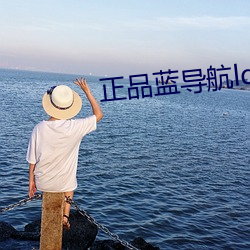 正品藍導航ldhone