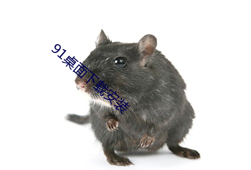 91桌面下载安装