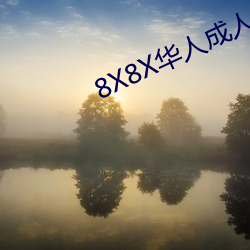 8X8X华人成人视搜的片