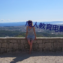 成人教育电影 不足挂齿）
