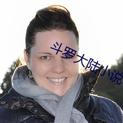 鬥羅大陸小說下載