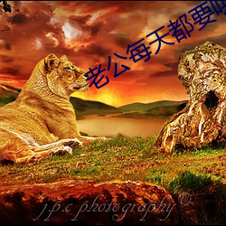 老公每天都要哄 （审验）