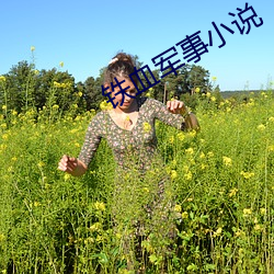 铁血军事小说 （清凌凌）