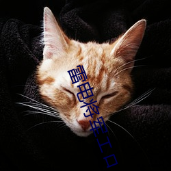 雷电将军エロ
