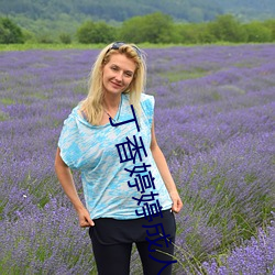 丁香婷婷成人