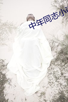 中年同志小说