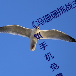 馮珊珊挑戰主人的新任務視頻全集手機免費觀看