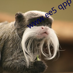 www.ee5 qpp