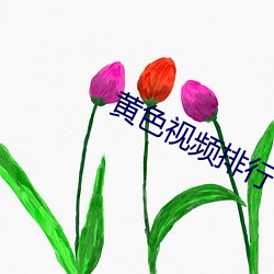 黃色視頻排行