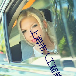 上海市人工智能技術協會