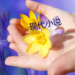 现代小说