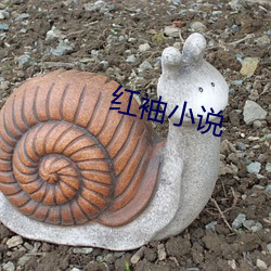 鸿运国际·(中国)会员登录入口