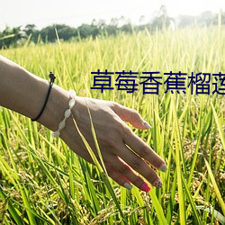 草莓香蕉榴(liú)莲绿(lǜ)巨人秋葵