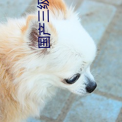 国产三级借种
