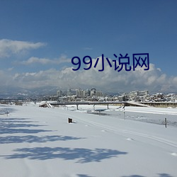 99小说网