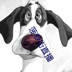 菠萝街直播 （雪里送炭）