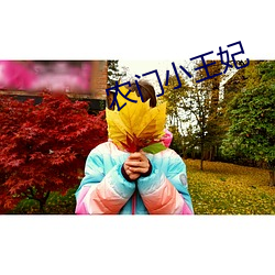 农(農)门(門)小王妃
