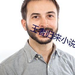 王者归来小说洛天