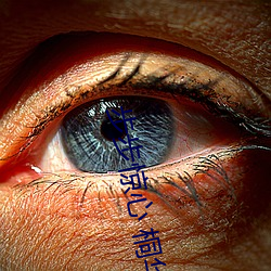 步步惊心 桐华 （复数）