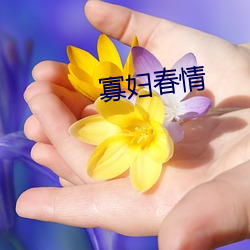 寡(寡)妇春(春)情