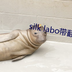 silk labo带翻译(1