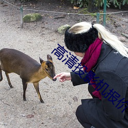 高清投影机报价(價)