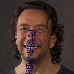 陸爺的小祖宗又撩又飒