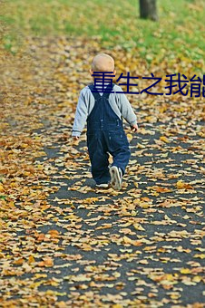 重生之我能升级