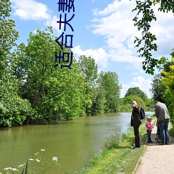 适合夫(fū)妻二人(rén)晚上(shàng)看(kàn)的(de)电影(yǐng)