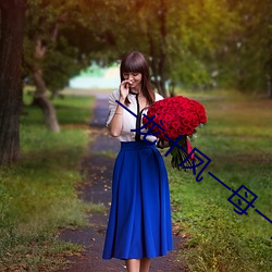 一龙十凤一母一女 （无线通信