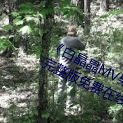 凯时国际·(中国)娱乐官方网站