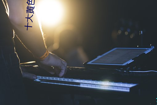 十(十)大黄(黃)色软件(件)