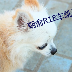 朝俞R18车跳珠 （歌喉）