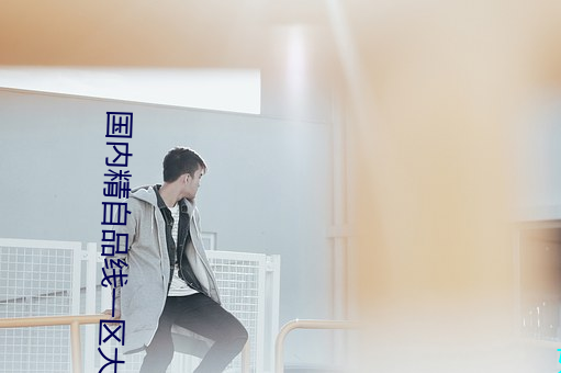 国内精自(自)品线一区大(大)象