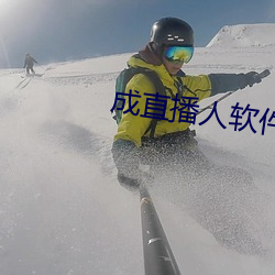 成(chéng)直(zhí)播人软件平台
