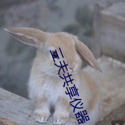 三夫共享儀器
