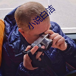 小说白洁