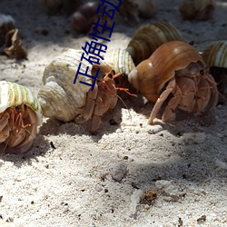 正确性动作小人图
