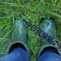今日(日)宜偏幸小说全文免费阅读(讀)