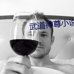 武道神尊小说 （英英玉立）