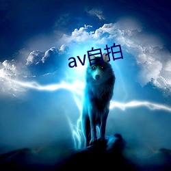 av自拍