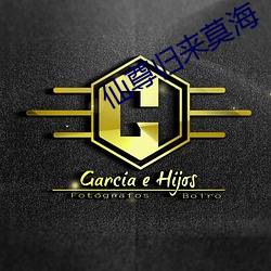 仙尊归来莫海