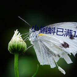 918博天堂·(中国)手机版客户端