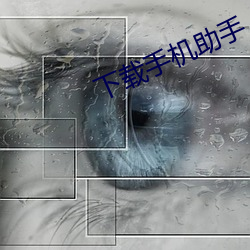下载手机助手