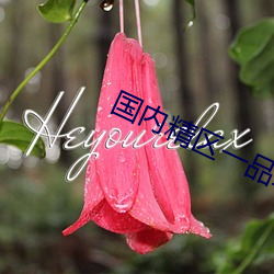 海内(nèi)精区一品二(èr)品(pǐn)精(jīng)区在线