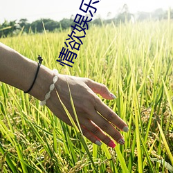 情欲娛樂圈柚子茶