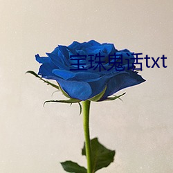 宝珠鬼话txt