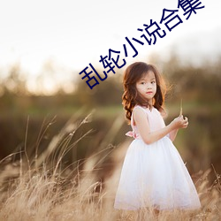 乱轮(輪)小说(說)合(合)集(集)