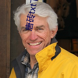 唐砖txt下载 （翻转）
