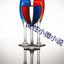 变性(性)小(小)微小(小)说(說)
